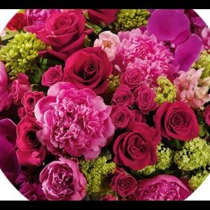 Meet your Posher, Anissa